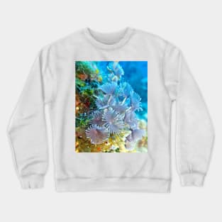 Social Feather Duster Anemone on Coral Reef Crewneck Sweatshirt